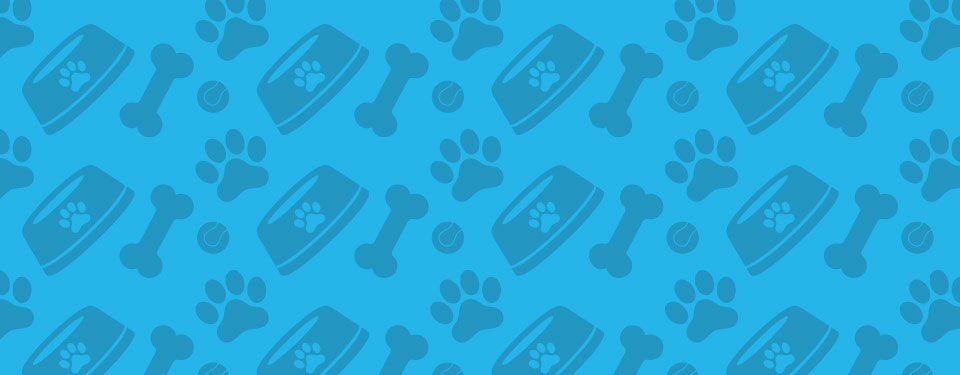 Go Doggy Central Brand Pattern